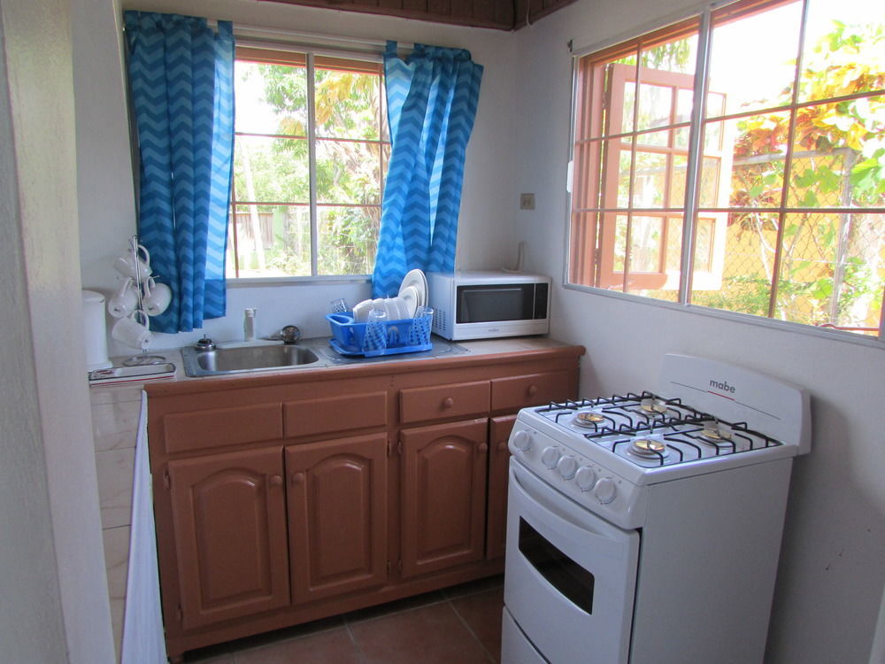 Ocho Rios Villa At Coolshade IV Saint Annʼs Bay 外观 照片